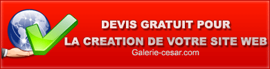 devis gratuit cr�ation site web