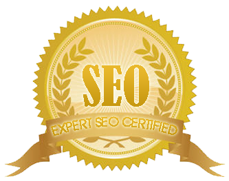 CESEO Certification Expert SEO